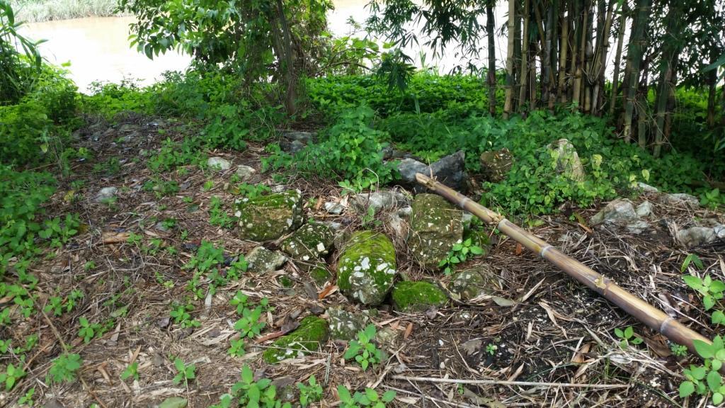 2017-08-07 12.35.14.jpg