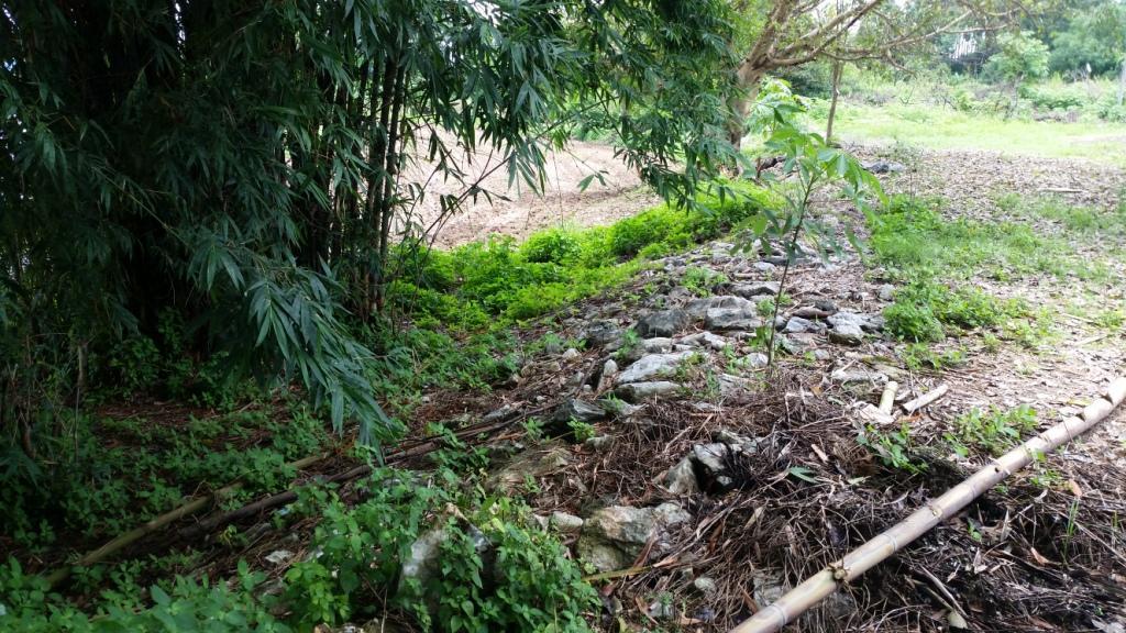 2017-08-07 12.35.24.jpg