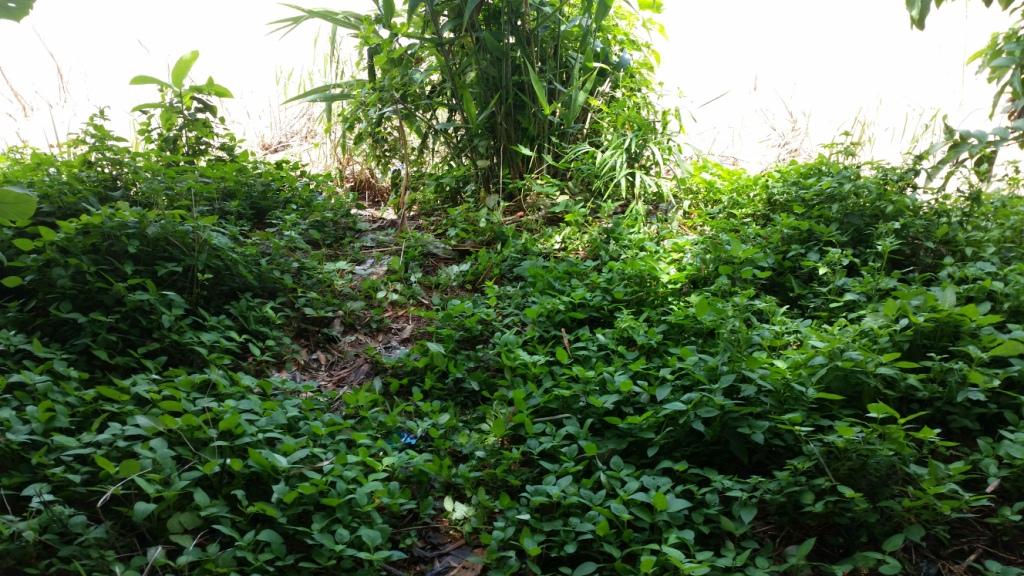 2017-08-07 12.43.42.jpg