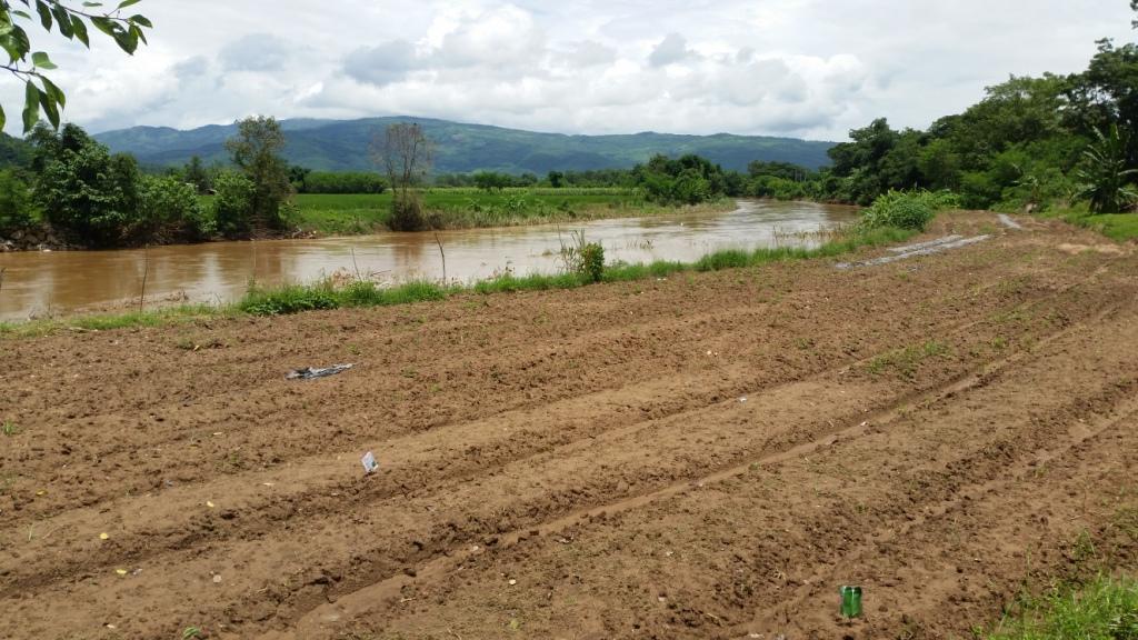 2017-08-07 12.45.34.jpg