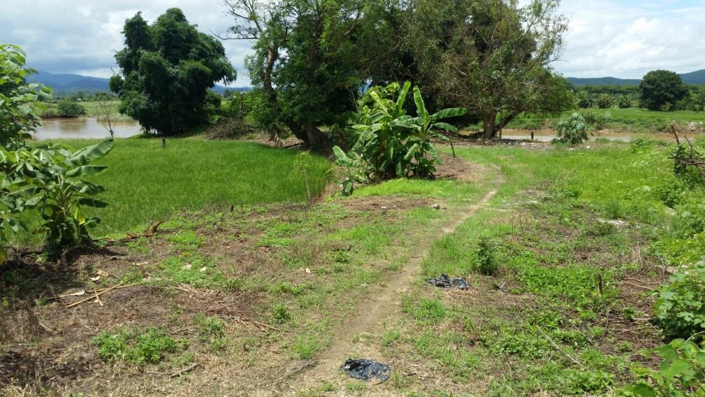 2017-08-07 12.52.24.jpg