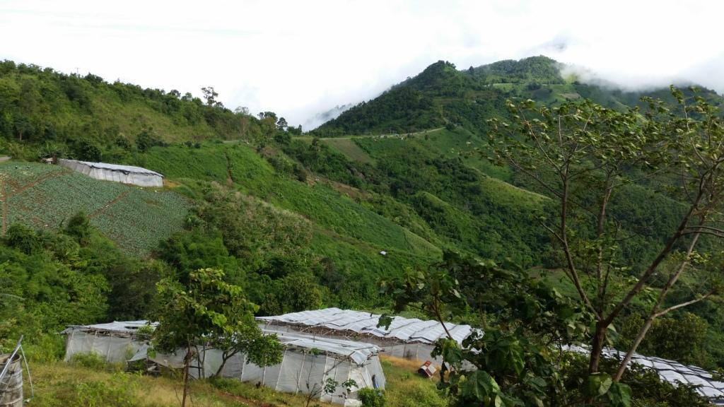 2017-08-09 08.42.44.jpg