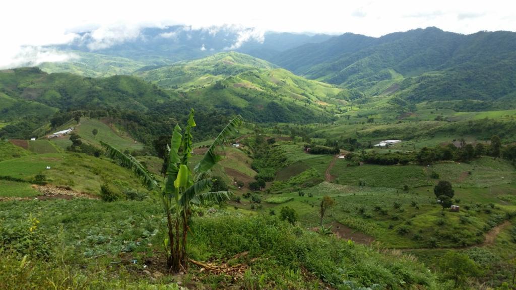 2017-08-09 08.54.45.jpg