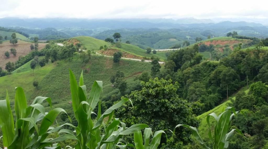 2017-08-09 10.48.20.jpg