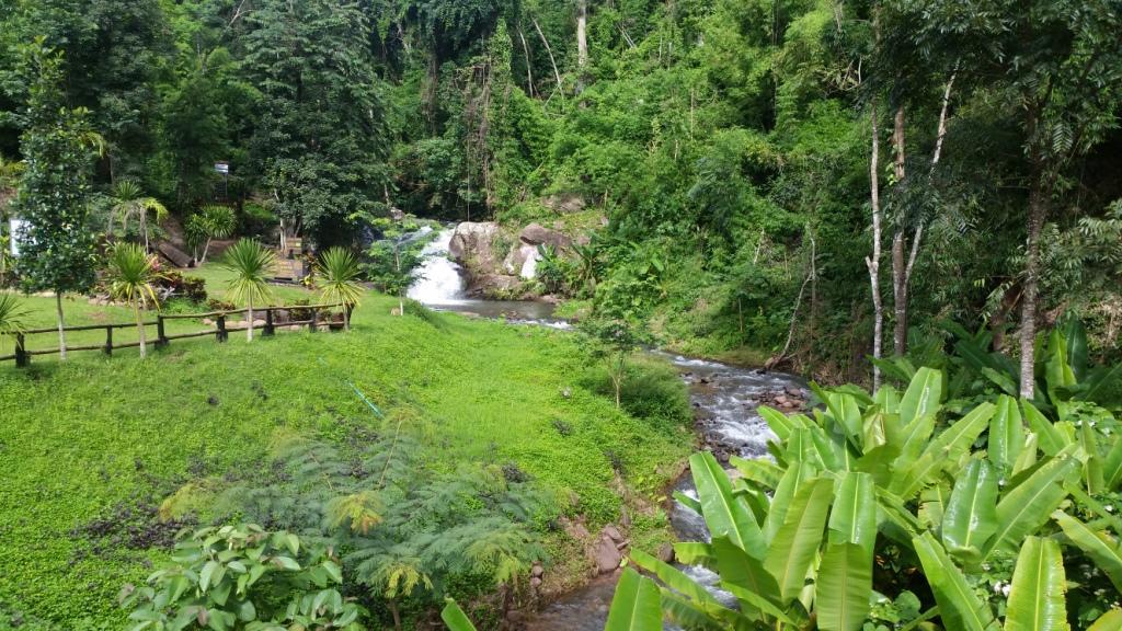 2017-08-09 15.33.42.jpg