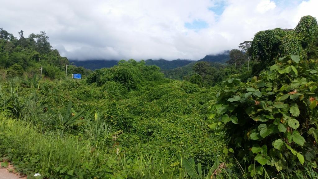 2017-08-09 15.46.05.jpg