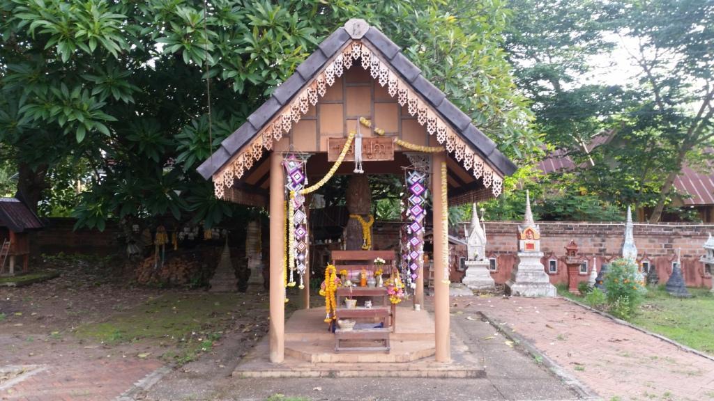 2017-08-10 07.19.41.jpg