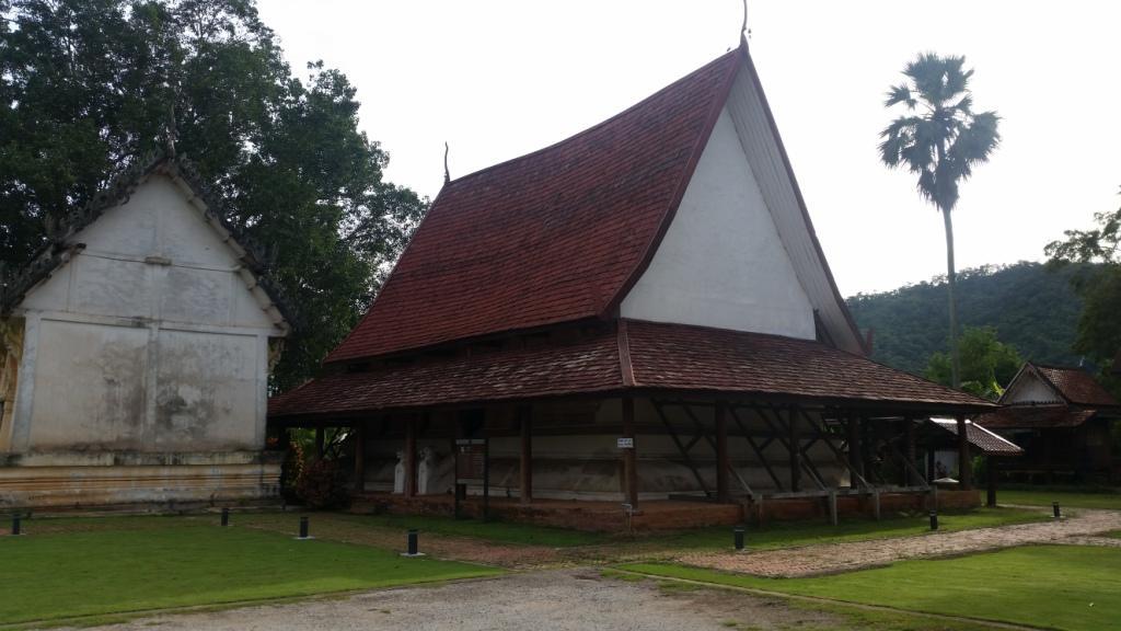 2017-08-10 07.49.15.jpg