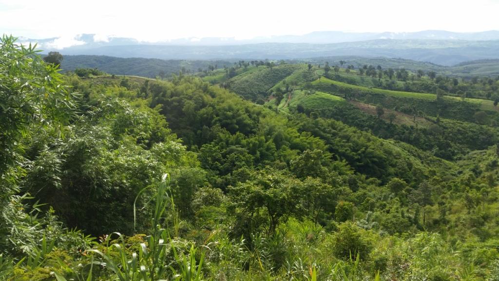 2017-08-10 08.20.03.jpg