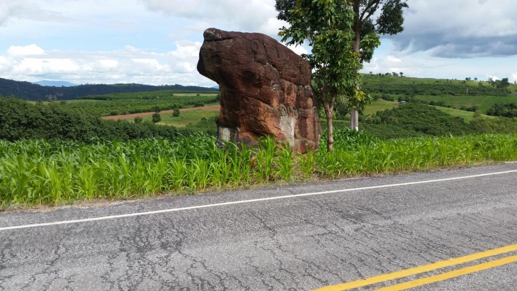 2017-08-12 15.23.07.jpg