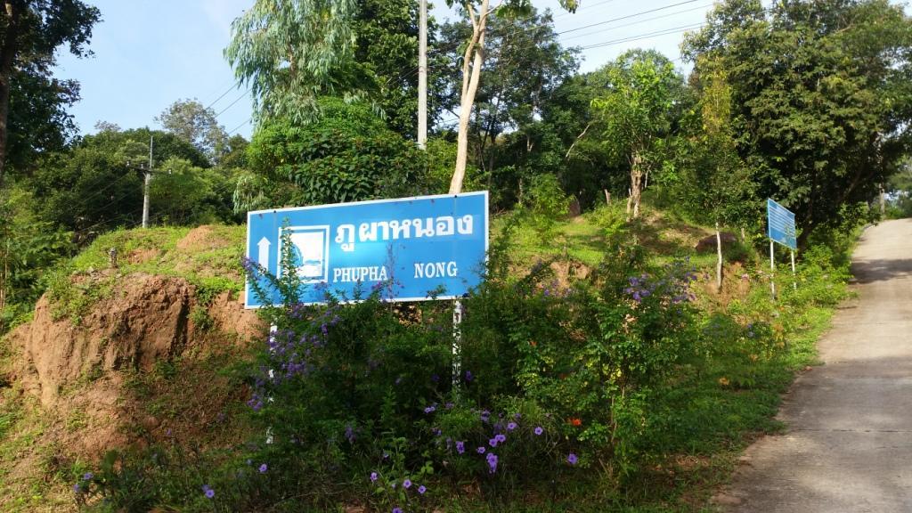 2017-08-13 07.39.26.jpg