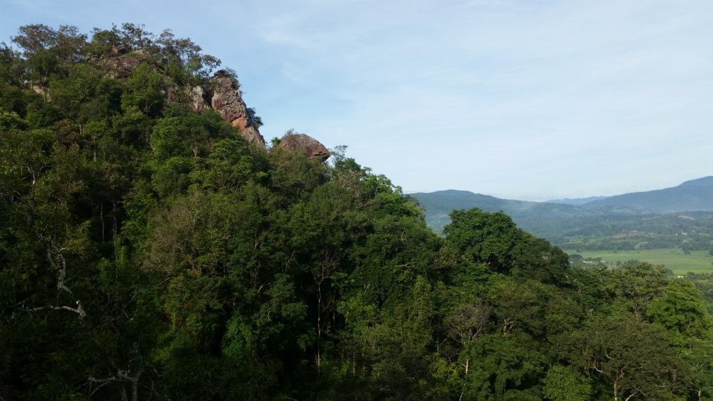 2017-08-13 07.51.36.jpg