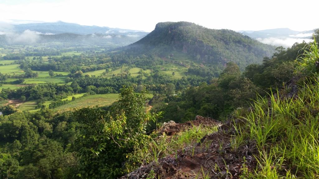 2017-08-13 07.52.12.jpg