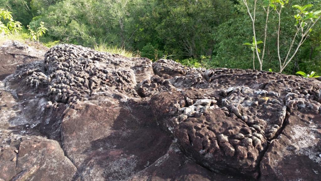 2017-08-13 07.52.46.jpg