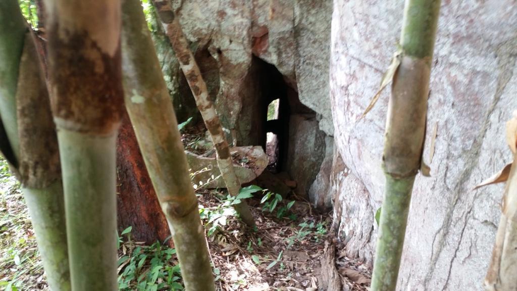 2017-08-13 08.01.34.jpg