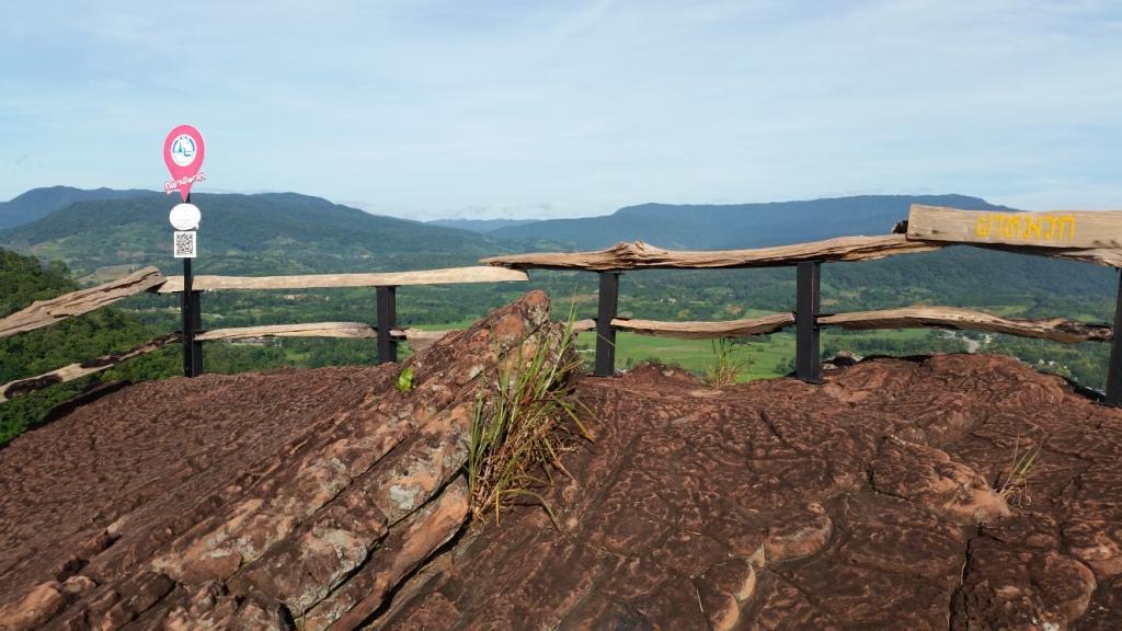 2017-08-13 08.05.37.jpg