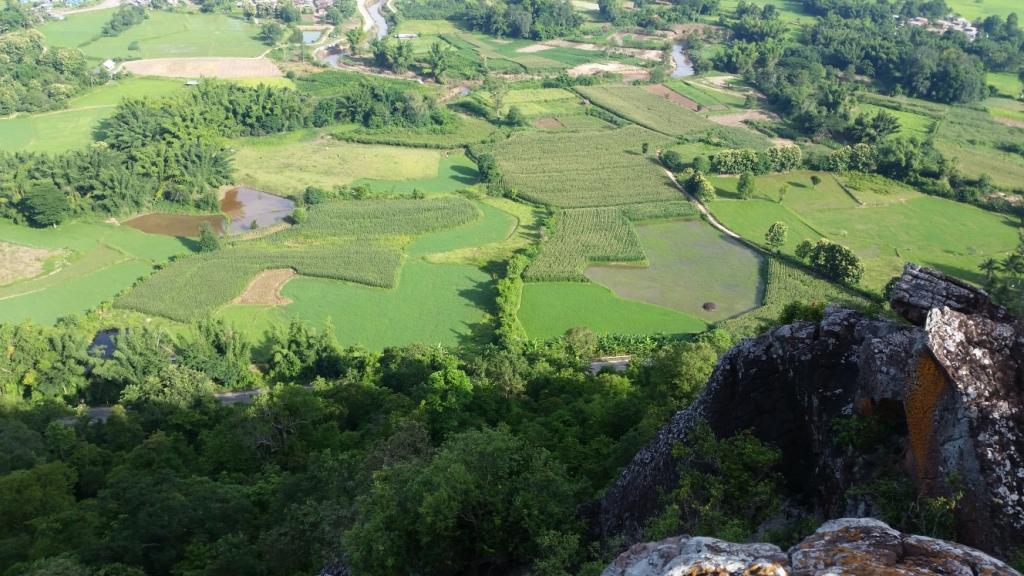 2017-08-13 08.06.28.jpg