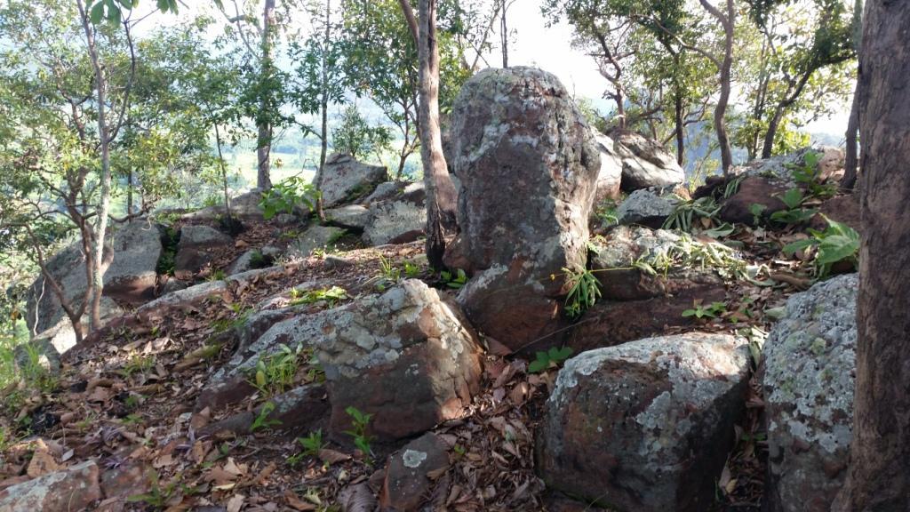 2017-08-13 08.12.35.jpg