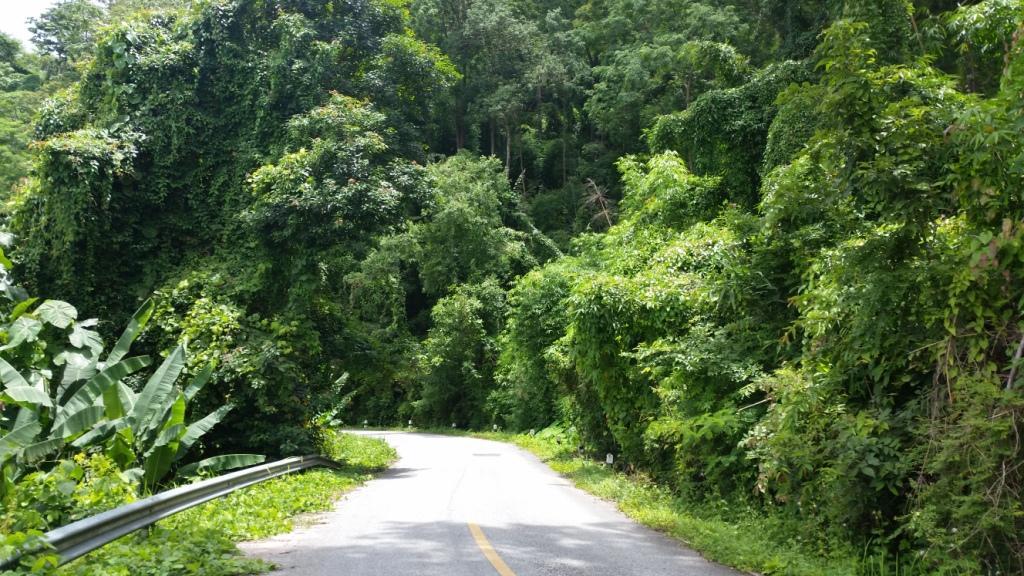 2017-08-13 12.01.45.jpg