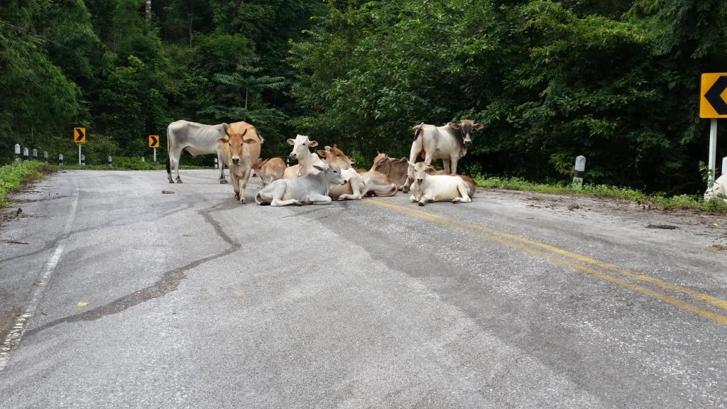 2017-08-13 14.45.54.jpg