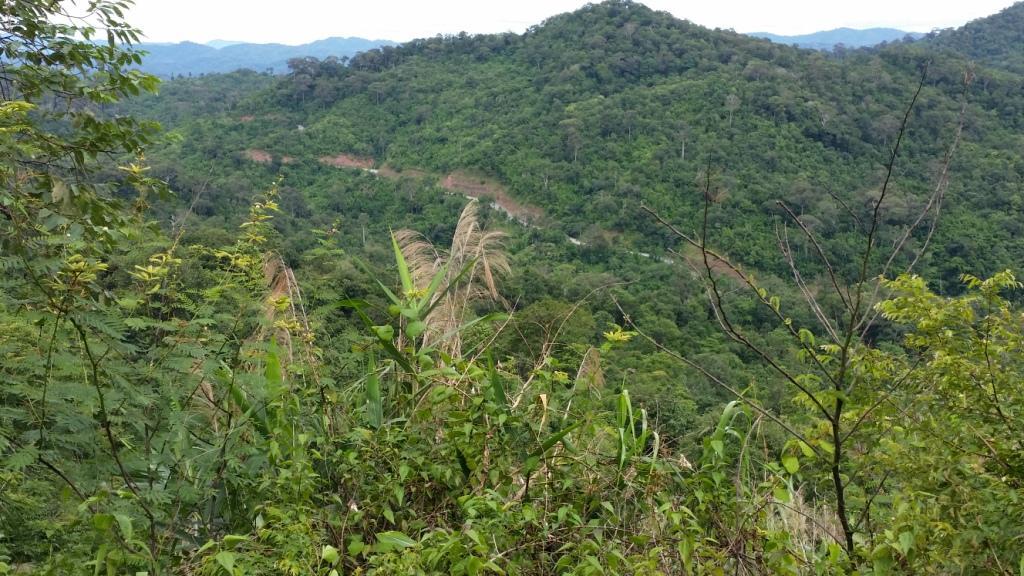 2017-08-13 14.49.39.jpg