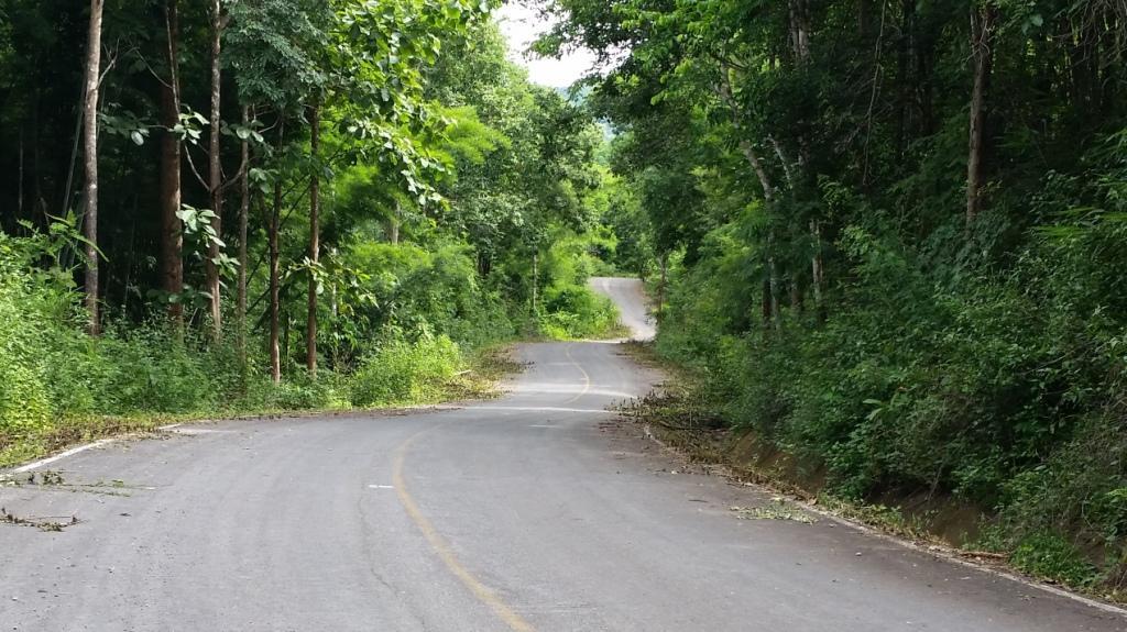 2017-08-13 15.17.34.jpg