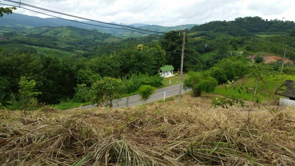 2017-08-14 13.58.44.jpg