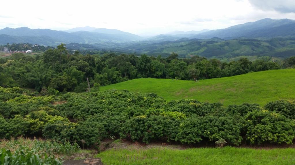 2017-08-14 14.12.59.jpg