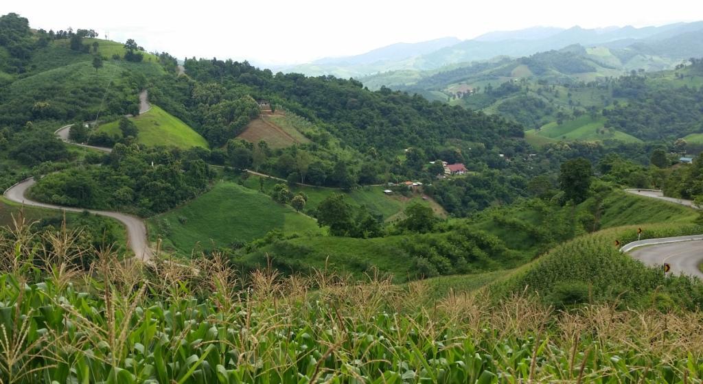 2017-08-14 14.27.53.jpg