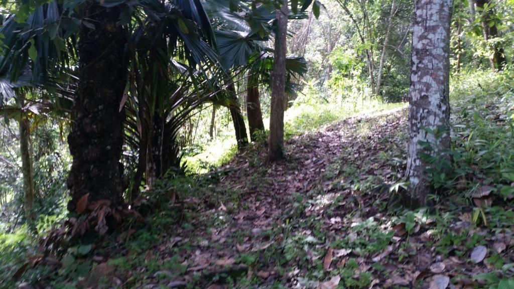 2017-09-19 09.05.46.jpg