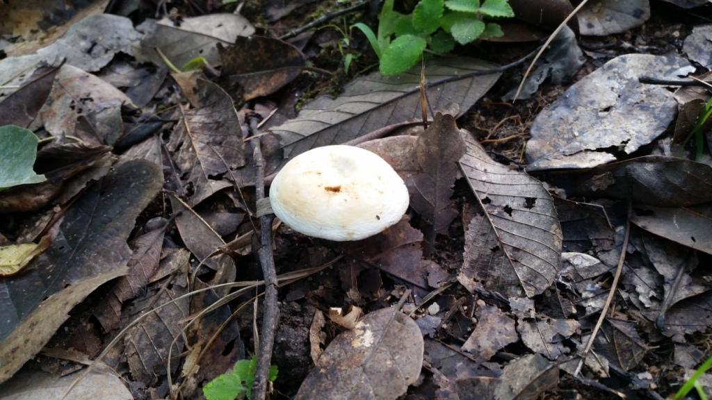 2017-09-19 09.08.25.jpg