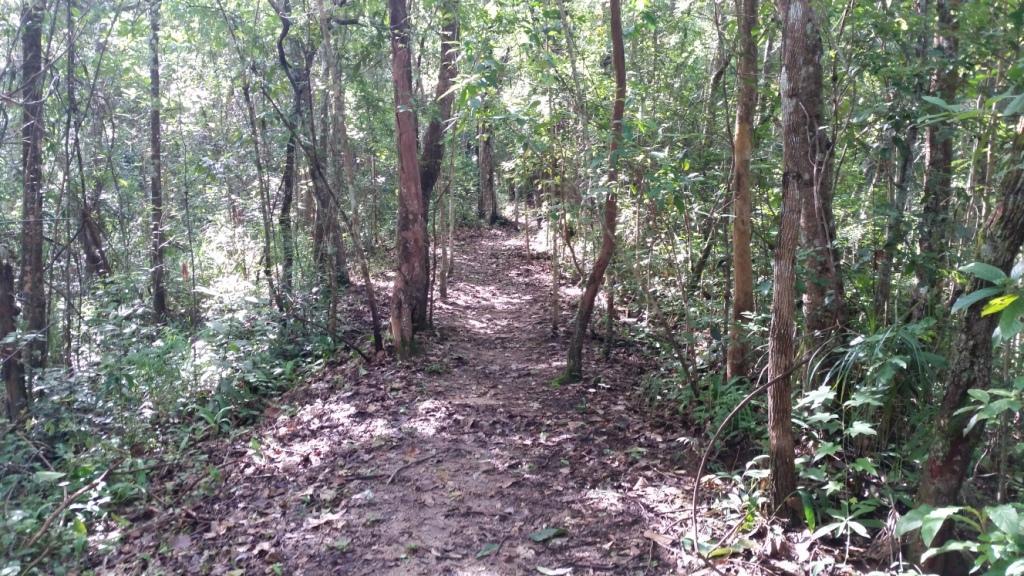 2017-09-19 09.11.41.jpg