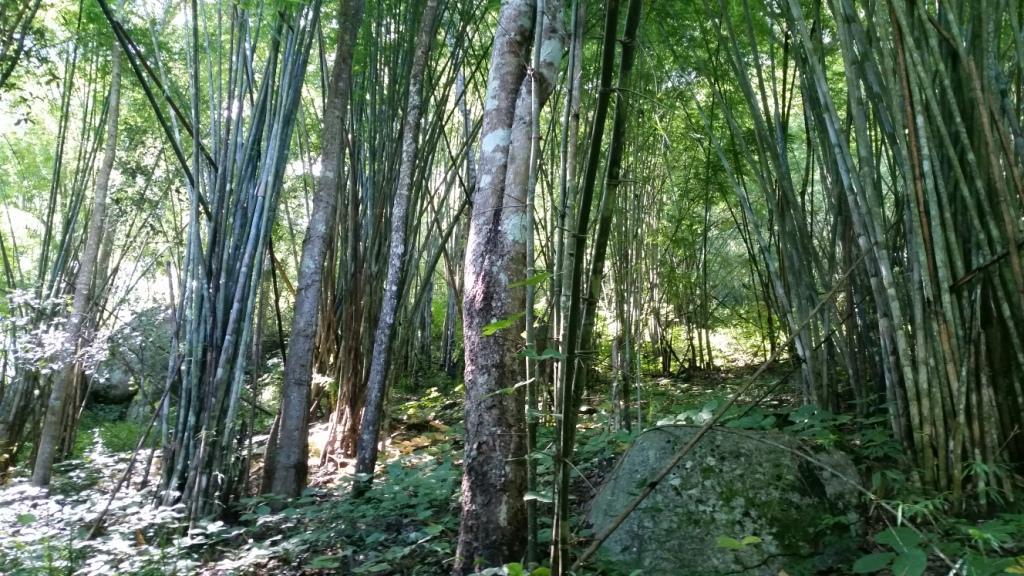 2017-09-19 09.31.16.jpg