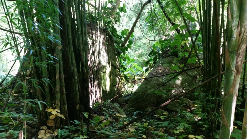 2017-09-19 09.33.42.jpg