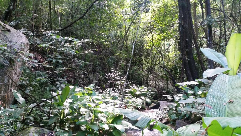 2017-09-19 09.41.15.jpg