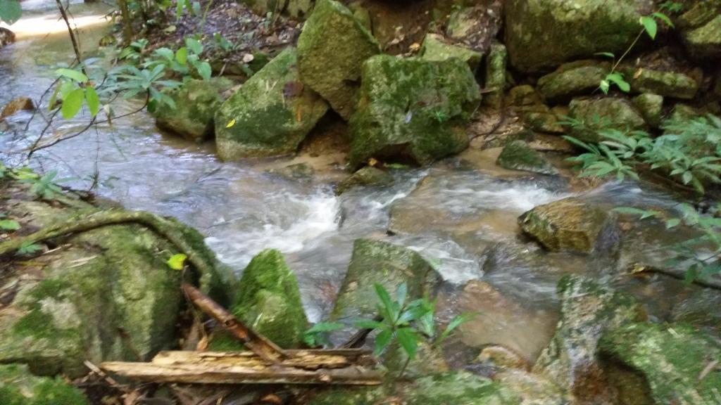 2017-09-19 09.45.36.jpg