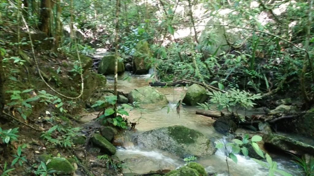 2017-09-19 09.51.46.jpg