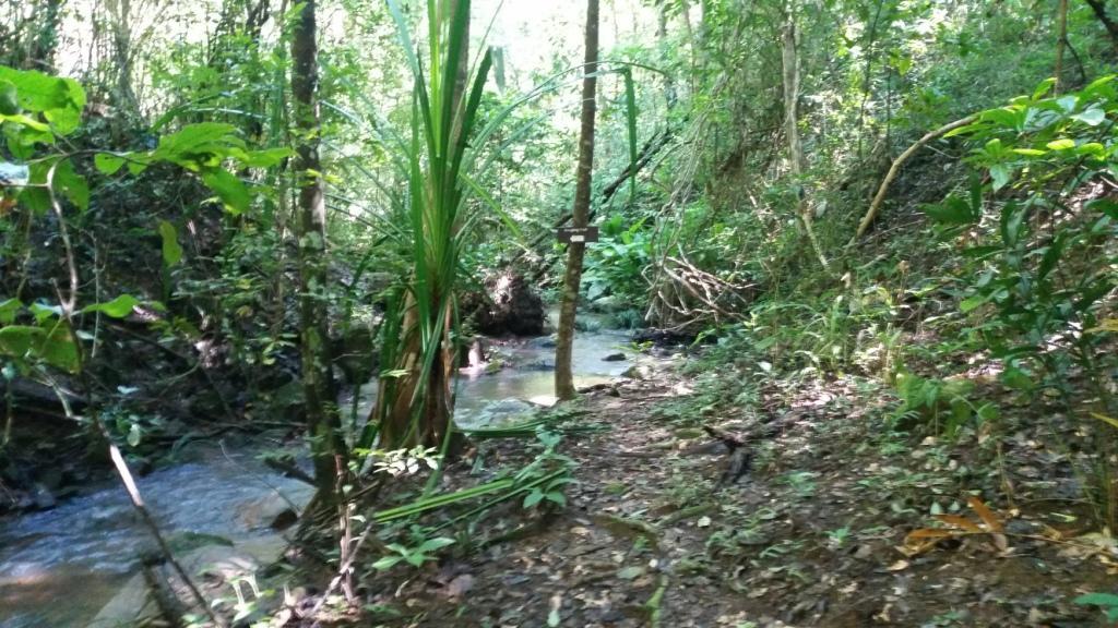 2017-09-19 09.51.50.jpg