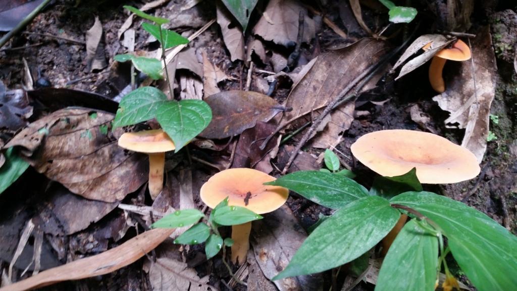 2017-09-19 09.57.51.jpg