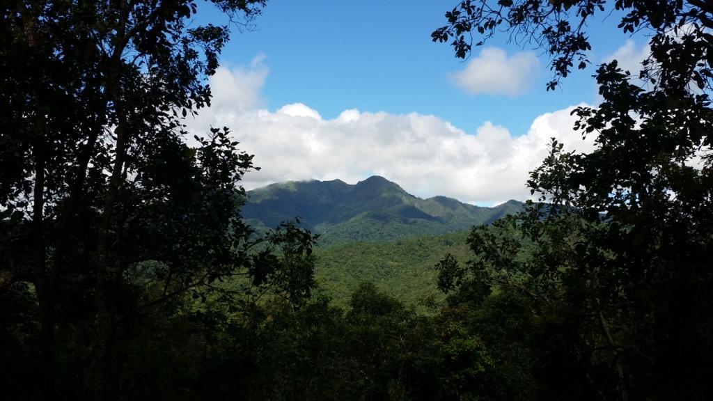 2017-09-19 10.01.27.jpg