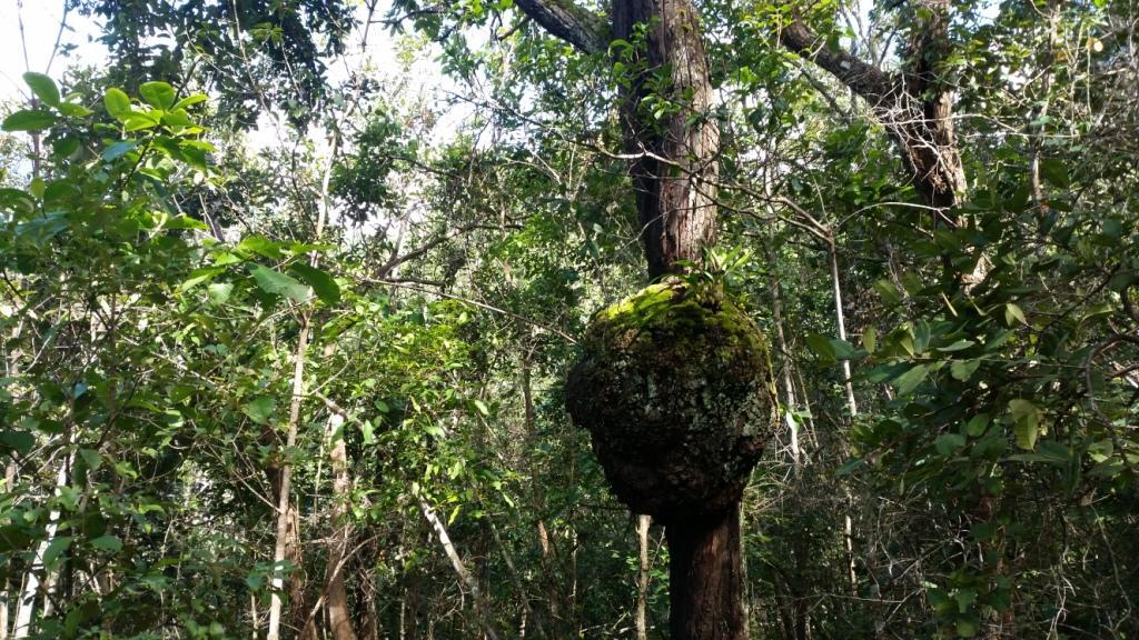 2017-09-19 10.08.33.jpg