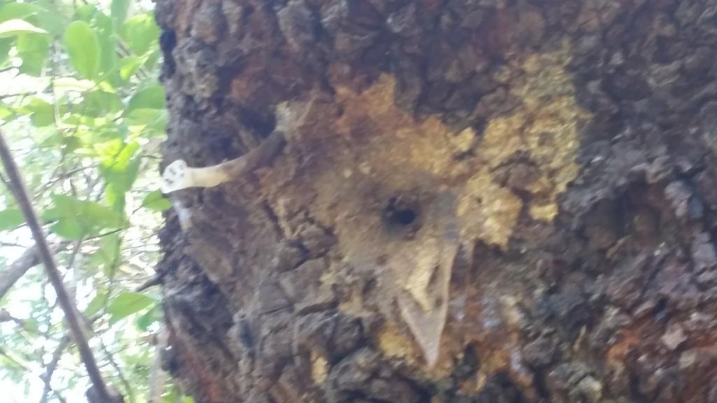 2017-09-19 10.09.07.jpg