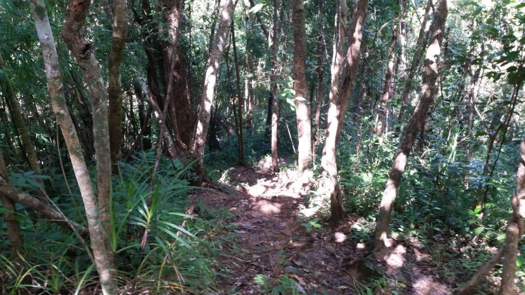 2017-09-19 10.10.22.jpg