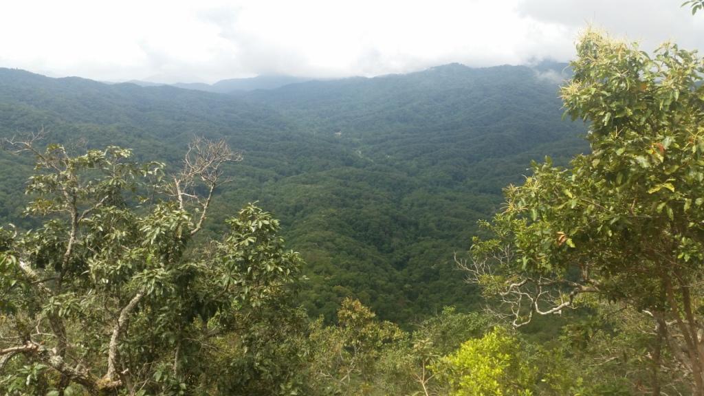 2017-10-01 11.47.22.jpg