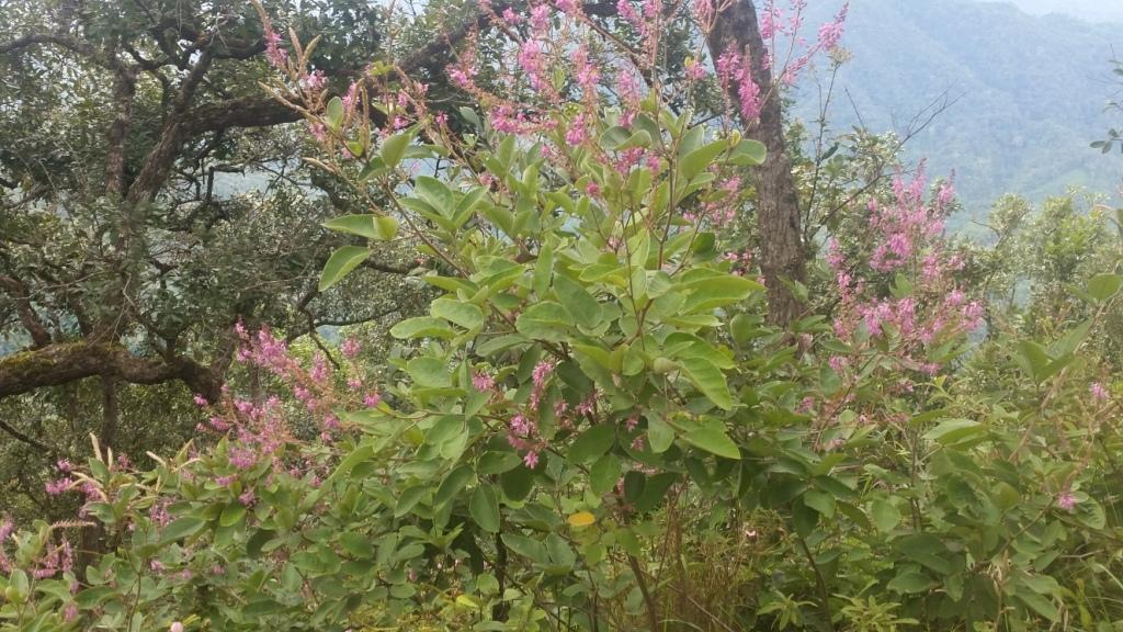 2017-10-01 11.56.50.jpg