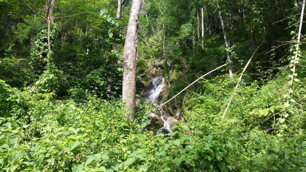 2017-10-01 15.04.54.jpg