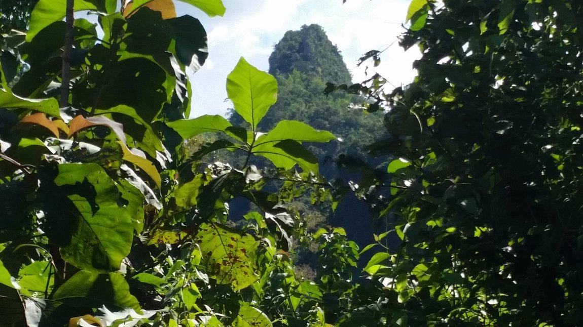 2017-10-07 14.20.19.jpg