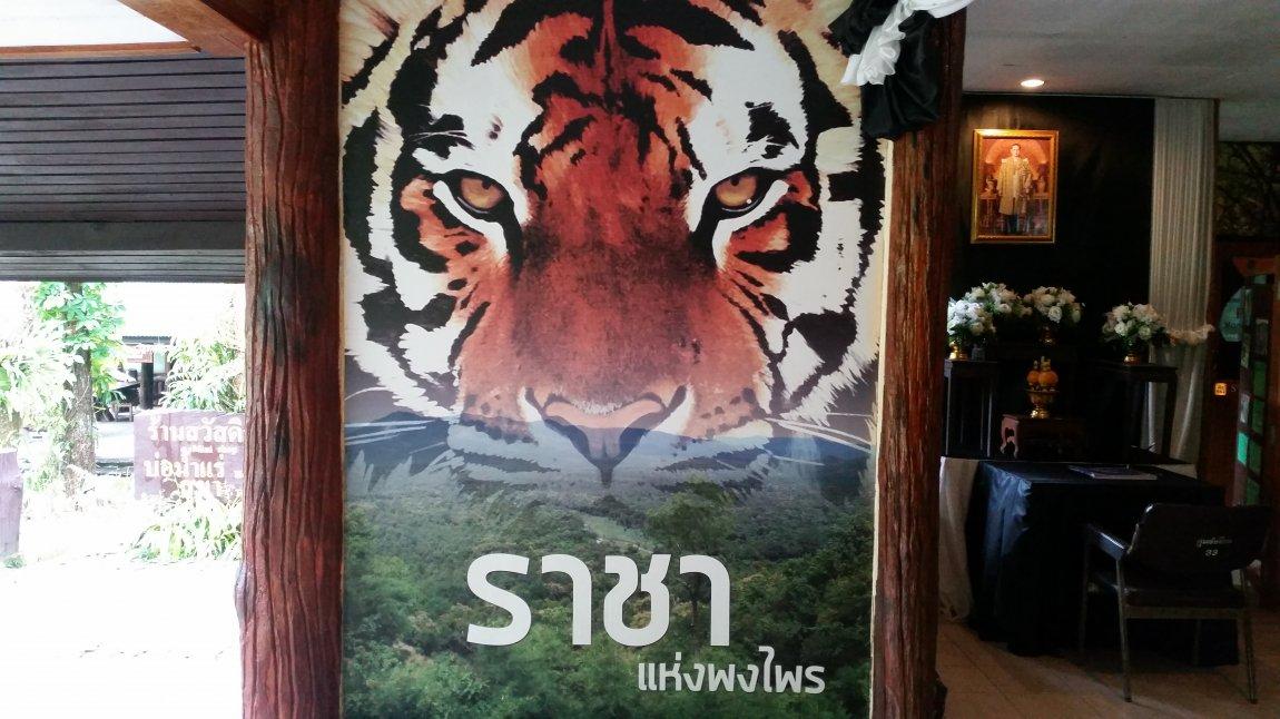 2017-10-09 08.10.29.jpg