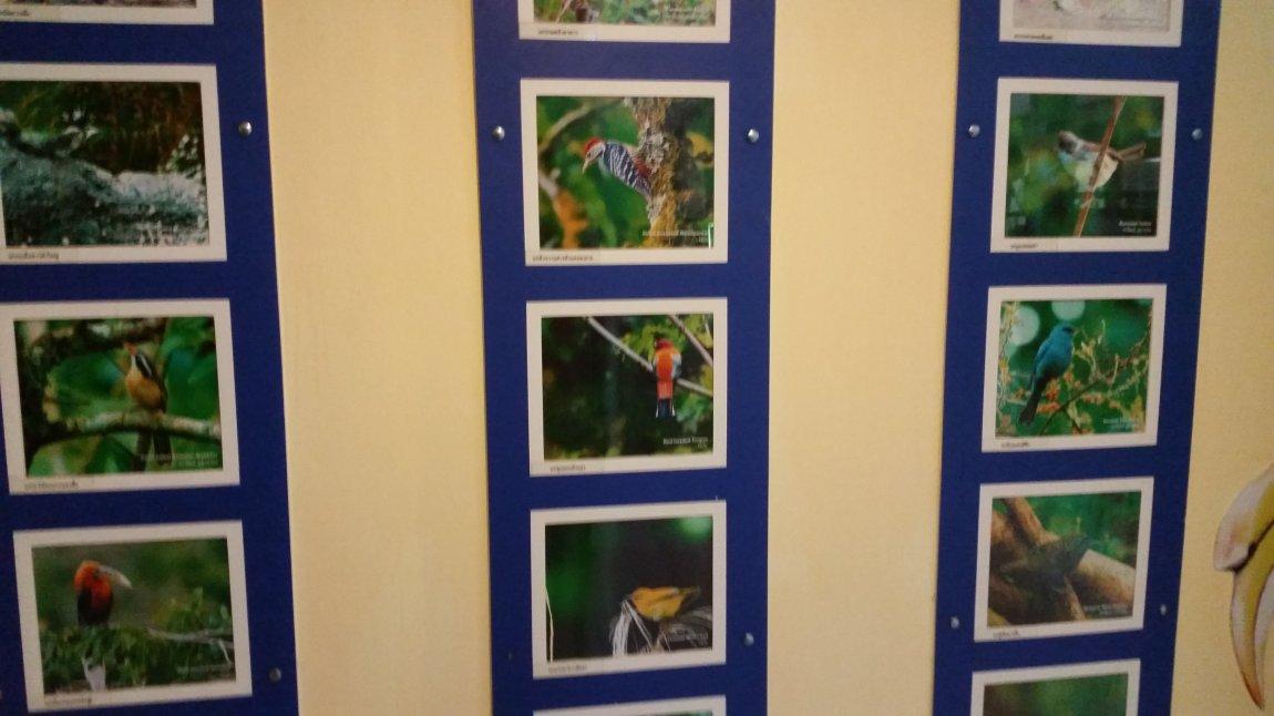 2017-10-09 08.15.16.jpg