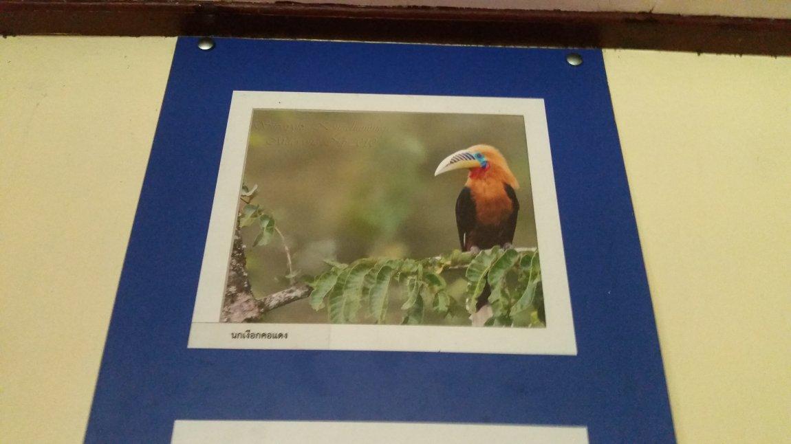 2017-10-09 08.15.32.jpg